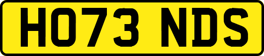 HO73NDS