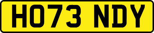 HO73NDY