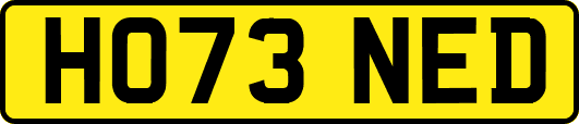 HO73NED