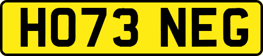 HO73NEG