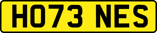 HO73NES