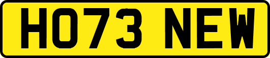 HO73NEW