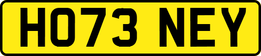HO73NEY
