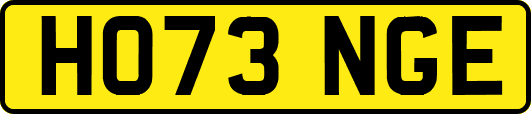HO73NGE