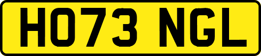 HO73NGL