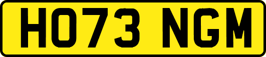 HO73NGM