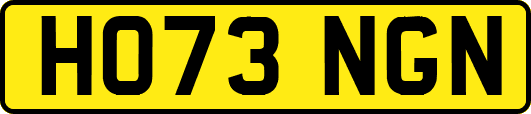 HO73NGN