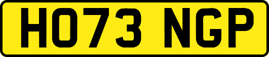 HO73NGP