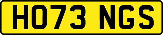 HO73NGS