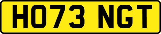 HO73NGT