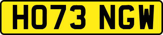 HO73NGW