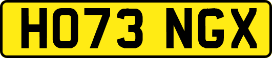 HO73NGX