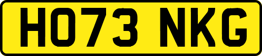 HO73NKG