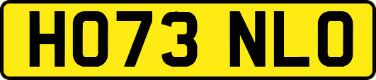 HO73NLO