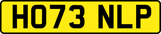 HO73NLP