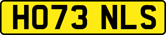 HO73NLS