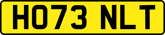 HO73NLT