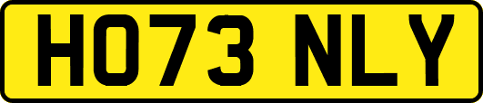 HO73NLY