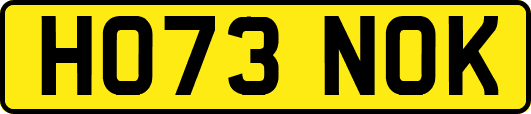 HO73NOK