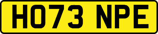 HO73NPE