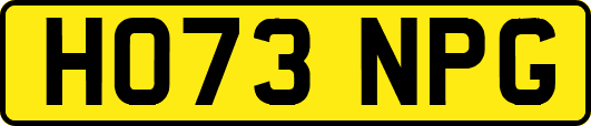 HO73NPG