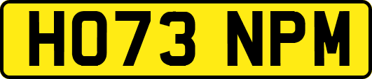 HO73NPM