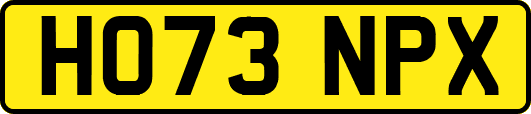 HO73NPX