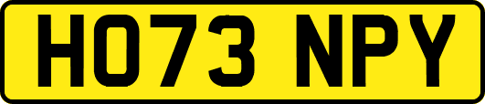 HO73NPY