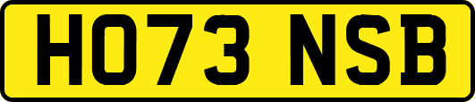 HO73NSB
