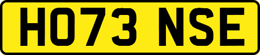 HO73NSE