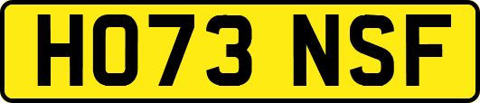 HO73NSF