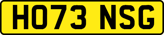 HO73NSG