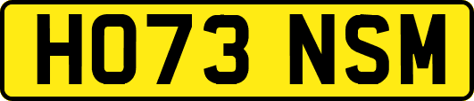 HO73NSM