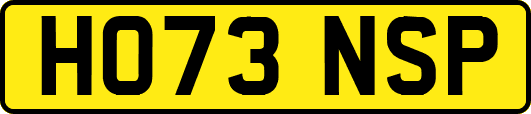 HO73NSP