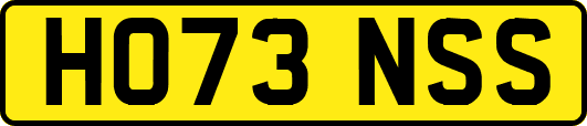 HO73NSS