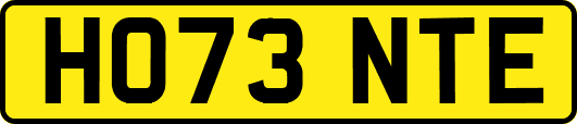HO73NTE