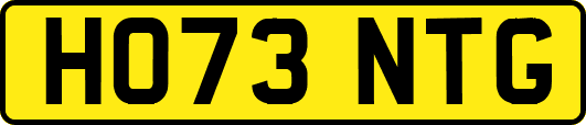 HO73NTG