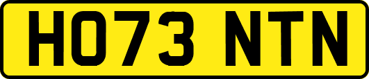 HO73NTN