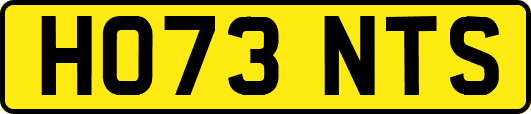 HO73NTS