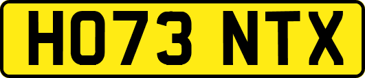 HO73NTX