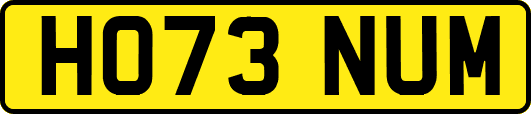 HO73NUM