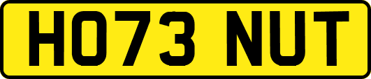 HO73NUT