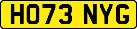 HO73NYG