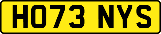 HO73NYS