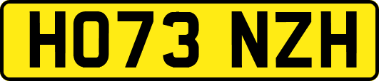 HO73NZH