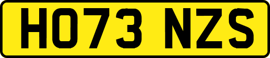HO73NZS