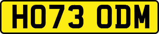 HO73ODM