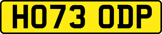 HO73ODP