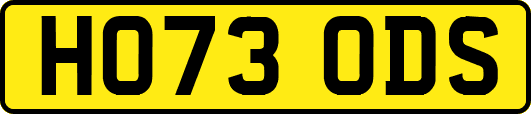 HO73ODS