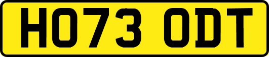 HO73ODT